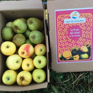 caja de carton con frutas, manzanas peras