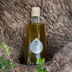 botella aceite transparente en olivo